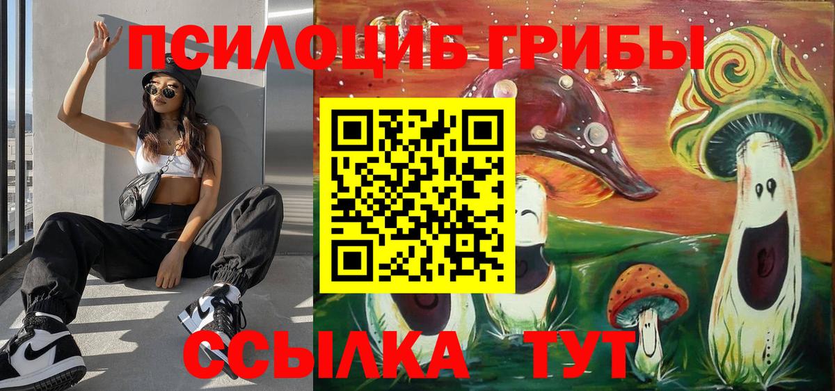 Псилоцибиновые грибы Psilocybe  Галлюциногенные грибы Psilocybe  Тверь  Вход с VPN 